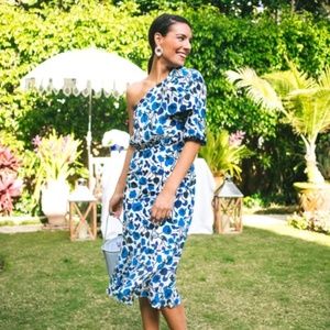 SALONI Juliet Dress UK 12 US 8